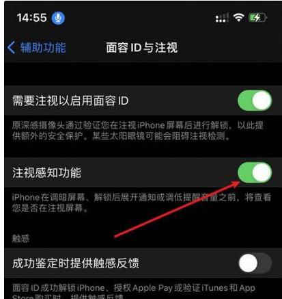 澧县苹果14维修网点分享iPhone14注视感知功能有什么用 